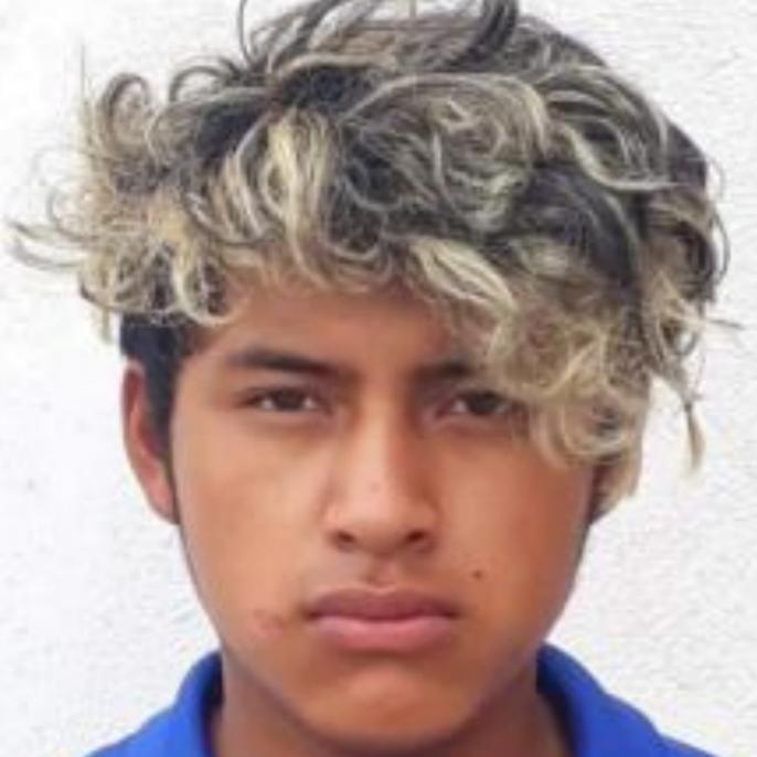 User Image