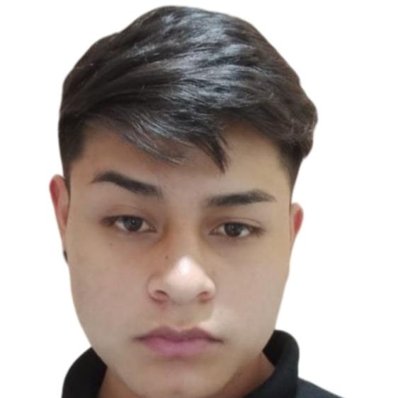 User Image