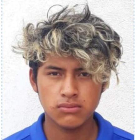 User Image