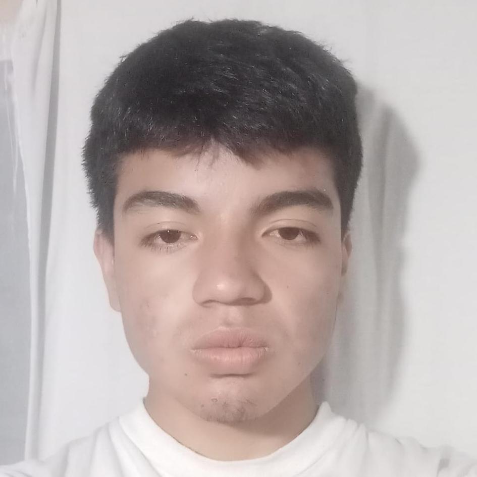 User Image