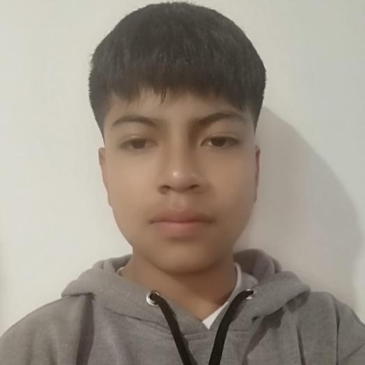 User Image