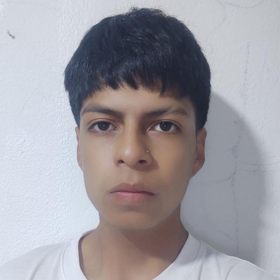 User Image
