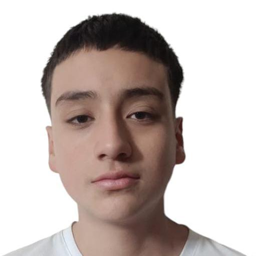User Image